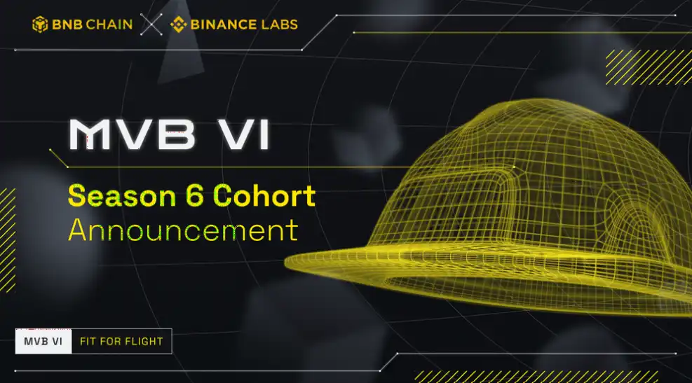 一览入围Binance Labs第6季MVB加速器的12个项目