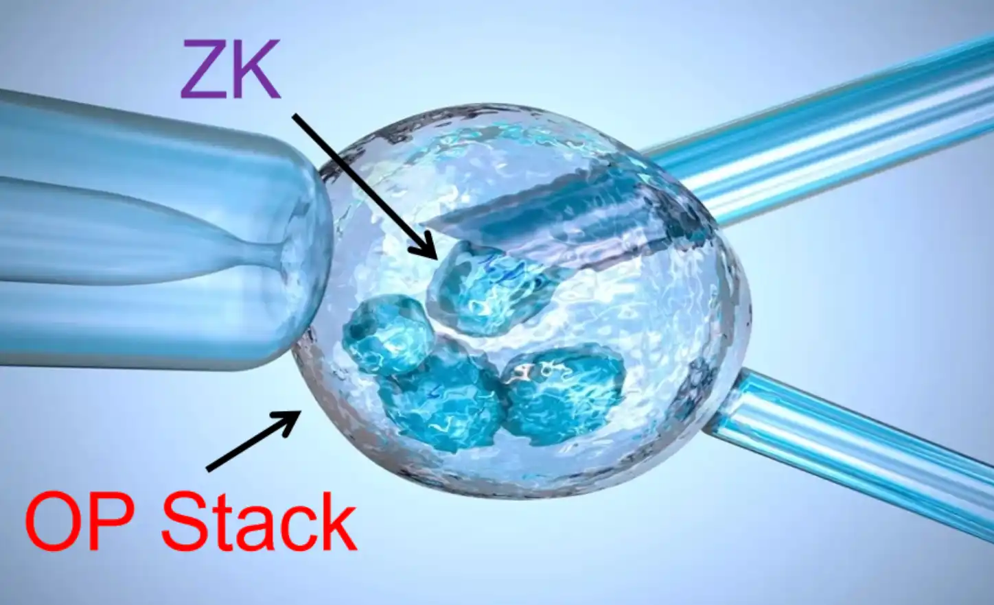 疯狂的多链宇宙，疯狂的OP Stack