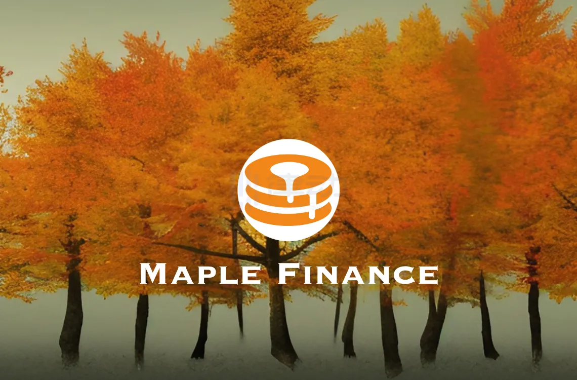 专访Maple Finance：布局RWA贷款业务，「窒息点行动2.0」也无法阻挡我们的野心