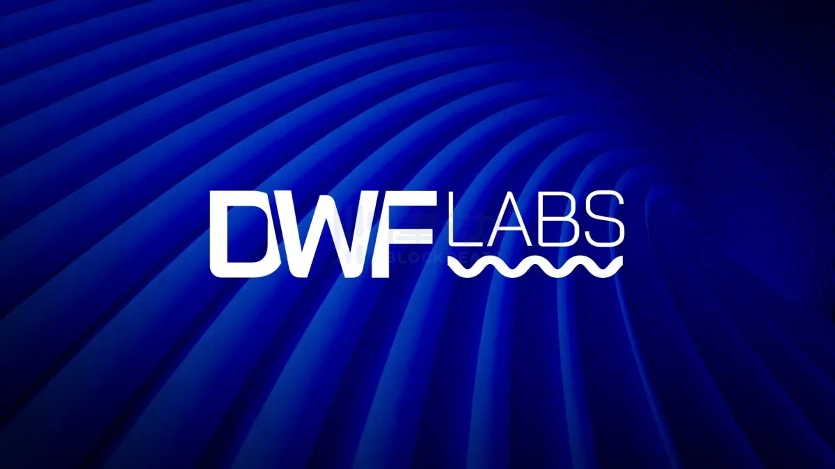 专访DWF Labs：我们不操纵任何东西