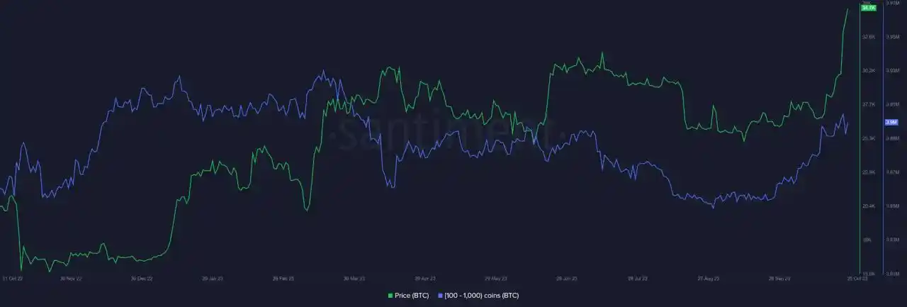 BTC 暴涨，推动涨势的因素有哪些？