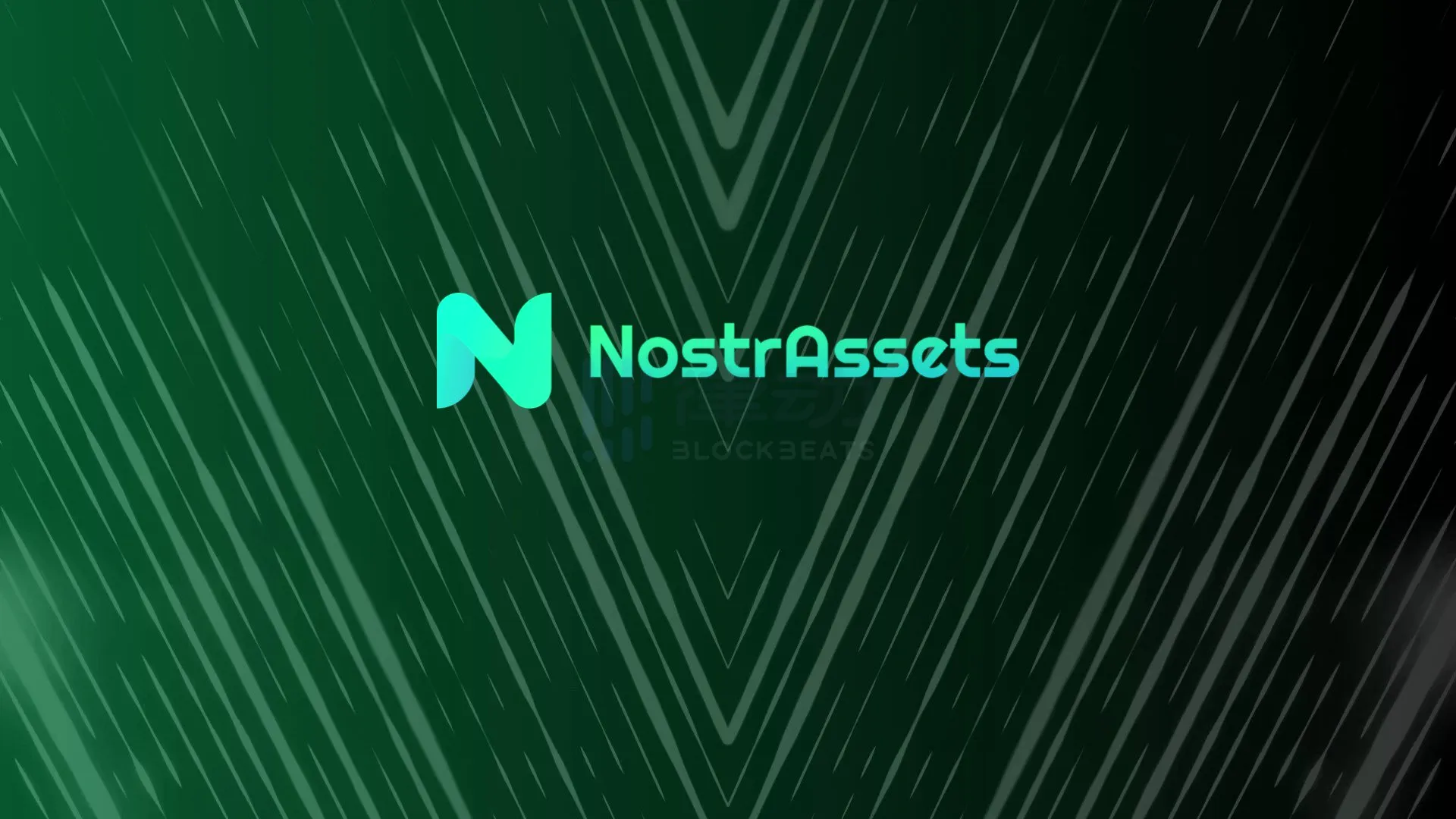 Nostr Assets热度过高暂停网站，回复评论被疑团队背景