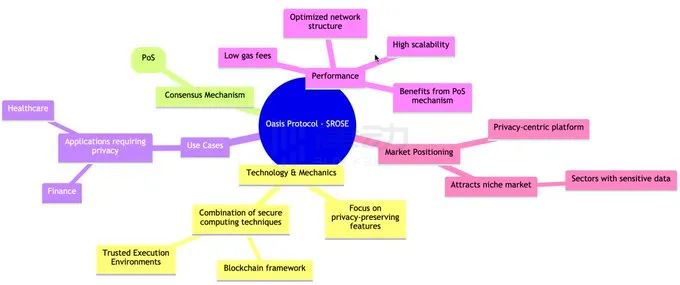 Injective脱颖而出：深入对比Oasis 、Injective和 Near三条公链