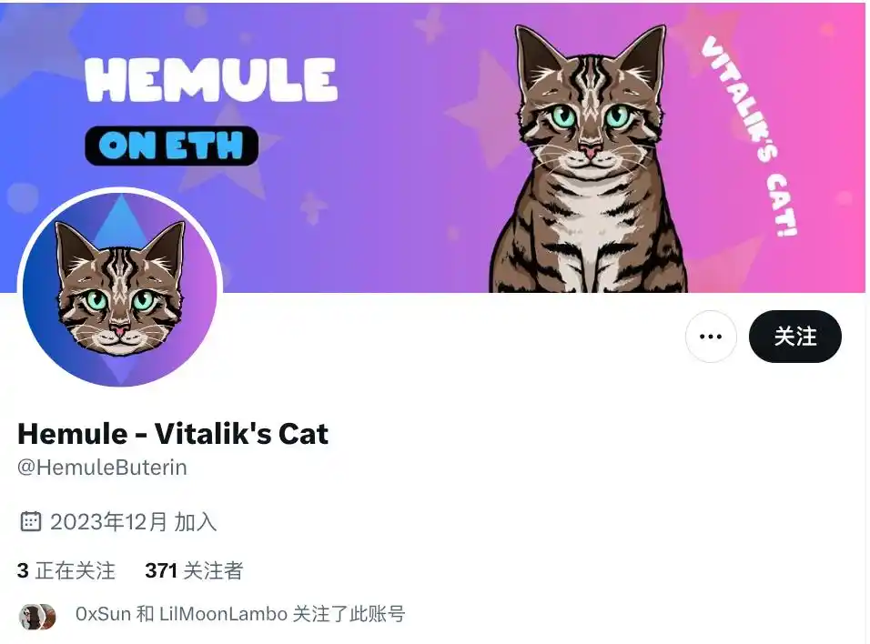 Vitalik的猫，Toly的龙，这届Meme盯上了创始人们的宠物...