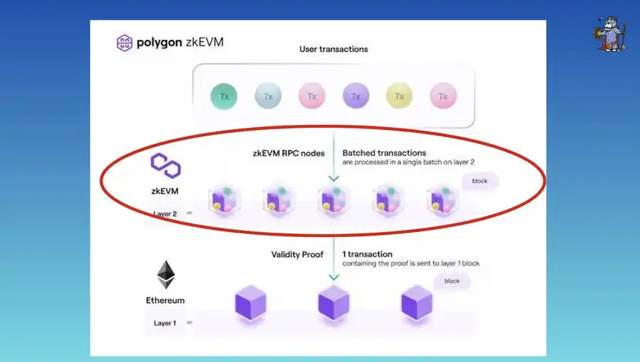 一文了解Manta Network ：实现可编程、低成本的 zkApps