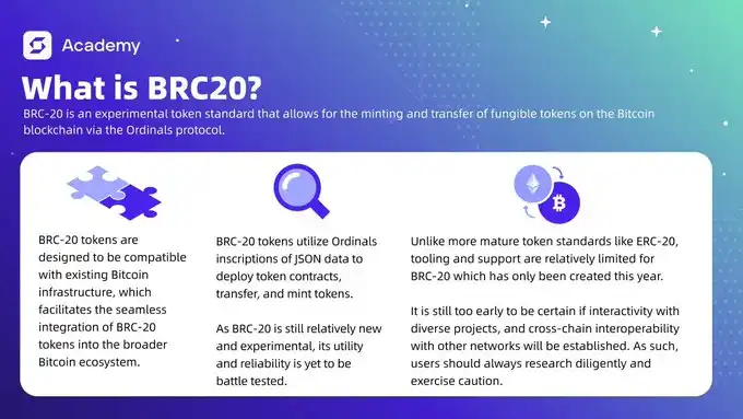 机遇与风险，探索新「BRCFi」叙事