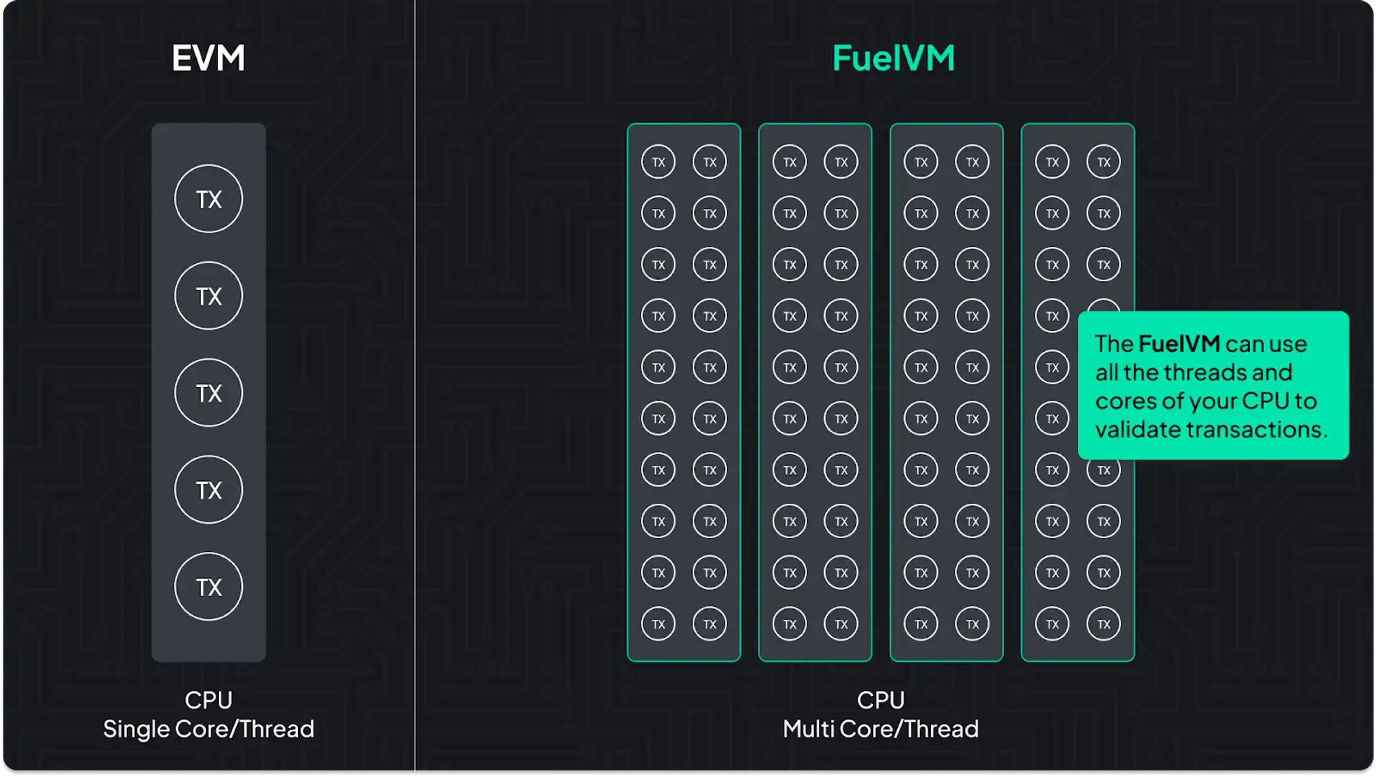 MT Capital研报：全面解读并行EVM，项目一览与未来展望