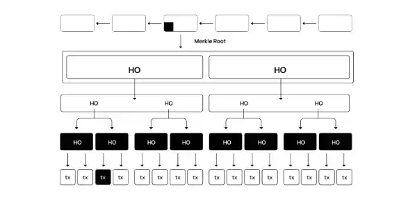 Blayer：基于镜像区块链的去中心化BTC Layer2