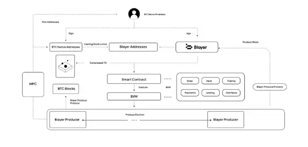 Blayer：基于镜像区块链的去中心化BTC Layer2