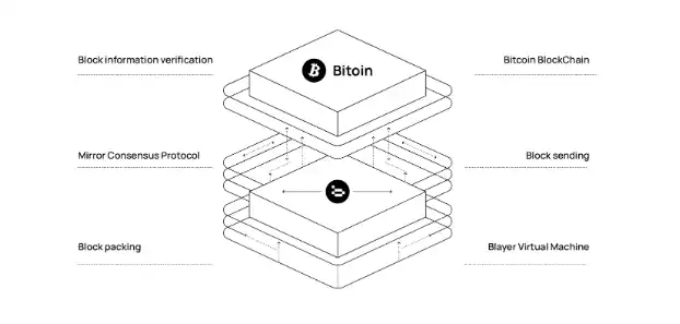 Blayer：基于镜像区块链的去中心化BTC Layer2