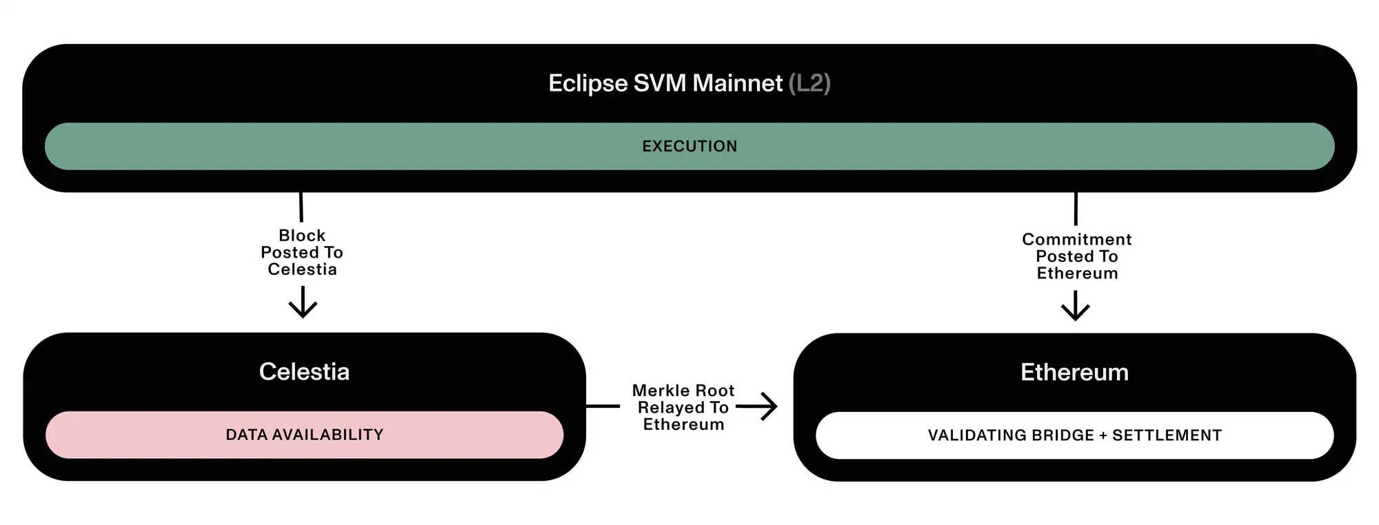 MT Capital研报：全面解读并行EVM，项目一览与未来展望