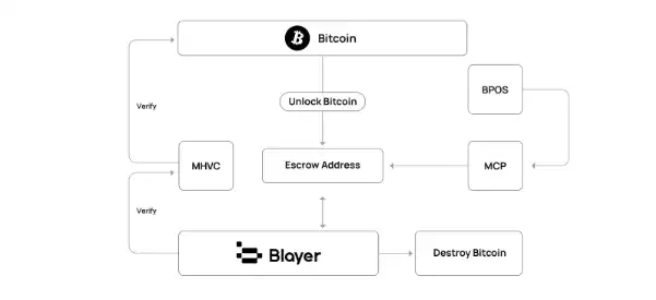 Blayer：基于镜像区块链的去中心化BTC Layer2